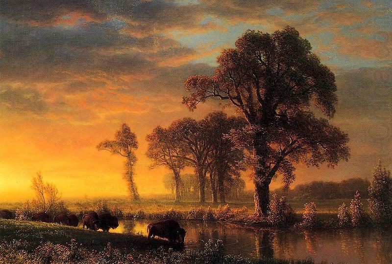 Western Kansas, Albert Bierstadt